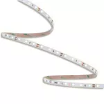 ORO STRIP SMD 24V/500LM/NW 50M TAŚMA LED