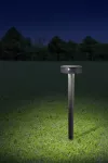 Oprawa ogrodowa Solar FIORINA Fumagalli Moduł LED z czujnikiem ruchu PIR 4000K 280lm 560 mm IP 55 czarny / tworzywo sztuczne