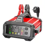 EM PROSTOWNIK FOXSUR 12V&24V 25A LCD