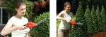 BLACK+DECKER NOŻYCE DO ŻYWOPŁOTU   3,6V GSL300 15cm