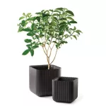 KETER DONICZKA CUBE PLANTER M ANTHRACITE