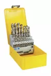 DEWALT WIERTŁO METAL HSS-G KPL.29szt.