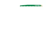 HIKOKI BRZESZCZOT DO PIŁ SZABLASTYCH RW30/S1531L 240mm /5szt.