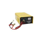 PROSTOWNIK INWERTOROWY AGRI 25 AUTO 12/24V , 5-15A , 300Ah AGRI25AUTO