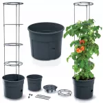 PROSPERPLAST DONICZKA TOMATO GROWER 12L - ANTRACYT