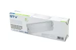 OPRAWA AWARYJNA TERNO-1, LED, 3W, 250lm, 6400K, AC220-240V, IP65, 1h, DWUZADANIOWA, TEST, bez CNBOP