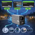 Qoltec Przetwornica napięcia MS Wave | 12V na 230V | 500/1000W | USB | Kompatybilna z LiFePO4 GEL AGM 