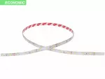 TAŚMA ECONOMIC IP63 12V SMD2835  60 LED 4000-4500K /OPAK.5M/