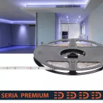 Taśma LED Premium IP63 hermetyczna | Niebieska | 12V | 60 LED/m | SMD2835 | Rolka 5m | 3 lata gwarancji 