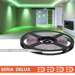 Taśma LED PL Delux | Zielona 480 lm | 24V | 80 LED/m | SMD2835 | Rolka 10m | 7 lat gwarancji