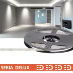 Taśma LED PL Delux | Zimna biała 6000K | 24V | 160 LED/m | 470lm/m | SMD2835 | Rolka 10m | 7 lat gwarancji