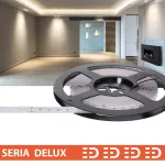 Taśma LED PL Delux | Neutralna biała 4000K | 24V | 80 LED/m | 1020lm/m | SMD2835 | Rolka 10m | 7 lat gwarancji