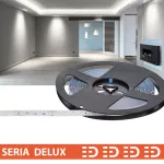 Taśma LED PL Delux | Dzienna biała 5700K | 24V | 80 LED/m | 980lm/m | SMD2835 | Rolka 10m | 7 lat gwarancji