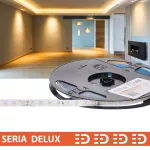 Taśma LED PL Delux | Ciepła biała 2700K | 24V | 80 LED/m | 900lm/m | SMD2835 | Rolka 10m | 7 lat gwarancji