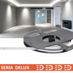 Taśma LED PL Delux | Zimna biała 6500K | 24V | 48 LED/m | 580lm/m | SMD2835 | Rolka 10m | 7 lat gwarancji