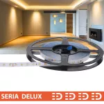 Taśma LED PL Delux CRI95 | Ciepła biała 2700K | 24V | 80 LED/m | 720lm/m | SMD2835 | Rolka 10m | 7 lat gwarancji