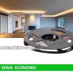 Taśma LED | Ciepła biała 3000K | 12V | 300 LED/5m | 24W | SMD2835 | Rolka 5m | 2 lata gwarancji
