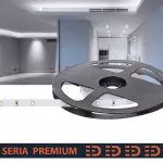 Taśma LED PL Premium | Zimna biała 9000K | 12V | 30 LED/m | SMD2835 | Taśma na metry | 5 lat gwarancji