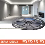 Taśma LED PL Delux Low Brightness | Zimna biała 6500K | 24V | 160 LED/m | 470lm/m | SMD2835 | Taśma na metry | 7 lat gwarancji