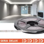 Taśma LED PL Delux Low Brightness | Zimna biała 6500K | 24V | 160 LED/m | 320lm/m | SMD4014 | Rolka 10m | 7 lat gwarancji