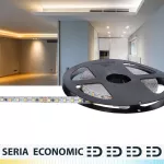Taśma LED Premium CCT  | Regulacja bieli 2700–6500K | 12V | 600 LED/5m | SMD2835 | Rolka 5m | 3 lata gwarancji