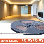 Taśma LED PL Delux Low Brightness | Ciepła biała 3000K | 24V | 160 LED/m | 980lm/m | SMD4014 | Taśma na metry | 7 lat gwarancji