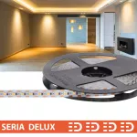 Taśma LED PL Delux OneCut | Cięcie co 1cm | Ciepła biała 3100K | 12V | 100 LED/m | 2000lm/m | SMD2835 | Rolka 5m | 7 lat gwarancji