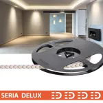  Taśma LED PL Premium OneCut | Cięcie co 1cm | Neutralna biała 4000K | 12V | 100 LED/m | 1900lm/m | SMD2835 | Rolka 5m | 7 lat gwarancji