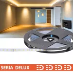 Taśma LED PL Delux | Ciepła biała 3000K | 24V | 80 LED/m | 2200lm/m | SMD2835 | Rolka 10m | 7 lat gwarancji