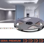 Taśma Premium 12V 120led 9000-10000K SMD2835 (5)