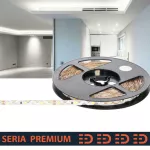 Taśma LED Premium S-Shape | Do wyginania | Zimna biała 6500K | 12V | 60 LED/m | SMD2835 | Rolka 5m | 3 lata gwarancji