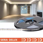 Taśma Delux 24V 160led 4000K 1920lm       SMD2835 (50) PL5Y