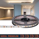 Taśma LED PL Premium | Neutralna biała 4000K | 12V | 120 LED/m | 1000lm/m | SMD2835 | Rolka 5m | 5 lat gwarancji