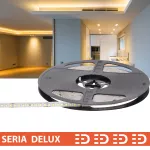 Taśma Delux 24V 160led żółta 440lm        SMD2835 (10) 585-590nm PL5Y