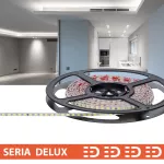Taśma LED PL Delux Slim 4mm | Zimna biała 6500K | 24V | 160 LED/m | 1100lm/m | SMD2835 | Rolka 10m | 7 lat gwarancji