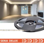 Taśma LED PL Delux | Neutralna biała 4000K | 24V | 160 LED/m | 1000lm/m | SMD2835 | Taśma na metry | 7 lat gwarancji