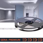 Taśma LED PL Premium | Zimna biała 10000K | 12V | 60 LED/m | SMD2835 | Rolka 5m | 5 lat gwarancji