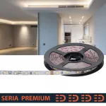 Taśma LED PL Premium | Neutralna biała 4000K | 12V | 60 LED/m | 500lm/m | SMD2835 | Rolka 5m | 5 lat gwarancji