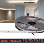 Taśma LED PL Premium | Neutralna biała 4000K | 24V | 70 LED/m | 910lm/m | SMD2835 | Taśma na metry | 5 lat gwarancji