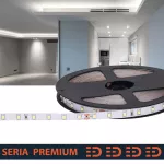 Taśma LED PL Premium | Zimna biała 5700K | 24V | 70 LED/m | 980lm/m | SMD2835 | Taśma na metry | 5 lat gwarancji