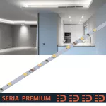 Taśma LED PL Premium Slim 4mm | Zimna biała 6500K | 12V | 60 LED/m | 500lm/m | SMD2835 | Taśma na metry | 5 lat gwarancji