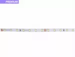 Taśma LED PL Premium | Zimna biała 6500K | 24V | 70 LED/m | 900lm/m | SMD2835 | Rolka 10m | 5 lat gwarancji