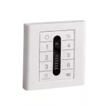 Wall controller without light for DC motors