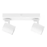 Spotlights series Kaplan 2 Bodies GU10 White