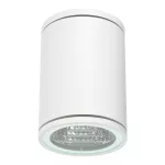 Surface-mounted ceiling light IP54 Orion GU10 Max. 8W White