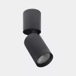 Surface-mounted ceiling light Iris Surface Hoop 50º 12.6W 2700K CRI 92 DALI-2 Black IP43 1367lm