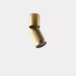 Surface-mounted ceiling light Iris Surface Hoop 35º 14W 2700K CRI 92 ON-OFF Gold/Gold IP20 1356lm