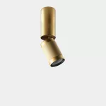 Spotlight Iris Spotlight Surface Big Hoop 18.5W 4000K CRI 92 22º ON-OFF Gold/Gold 2032lm