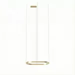 Pendant Geometric Oval Surface 500mm LED 61W 2700K DALI-2 Gold 3508lm