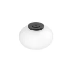 Hop pendant light point